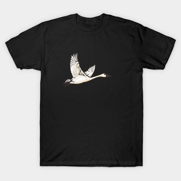 Tundra Swan T-Shirt by Ginboy